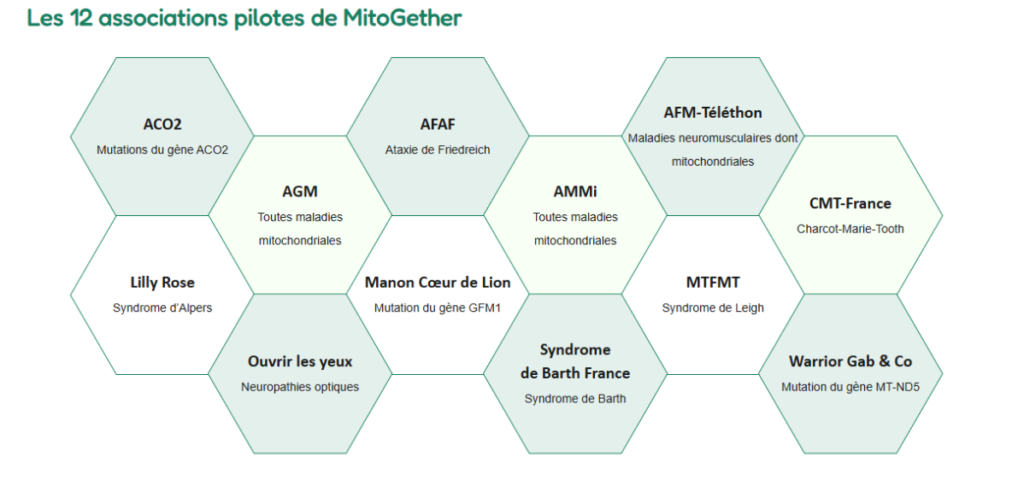 Pilot associations of MITOGETHER consortium
