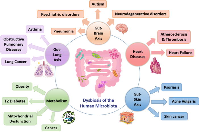 The human microbial dysbiosis in human diseases. © International Society of Microbiota